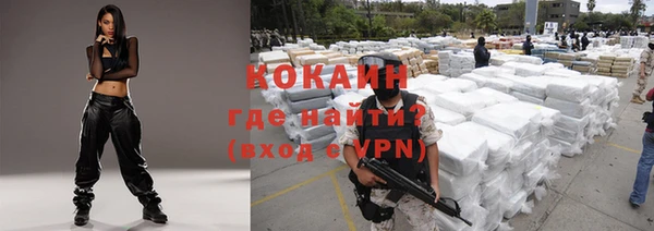 метадон Богданович