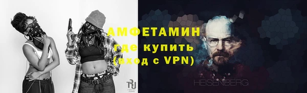 метадон Богданович