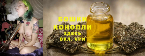 дживик Богородицк
