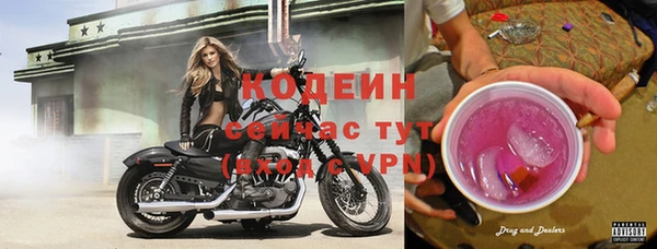 метадон Богданович