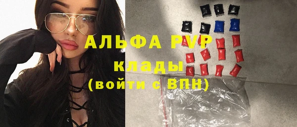 метадон Богданович