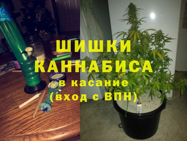 метадон Богданович