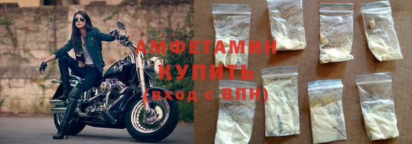 метадон Богданович