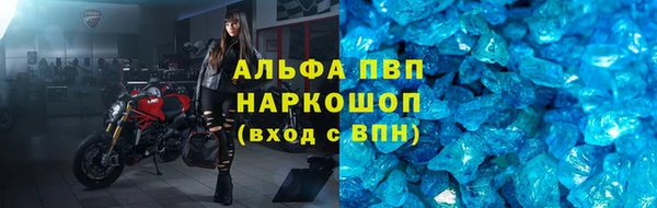 метадон Богданович